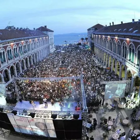 Daire Amazing View *